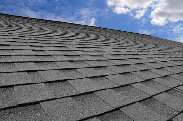 Best Rubber Roofing (EPDM, TPO)  in Chevy Chase View, MD